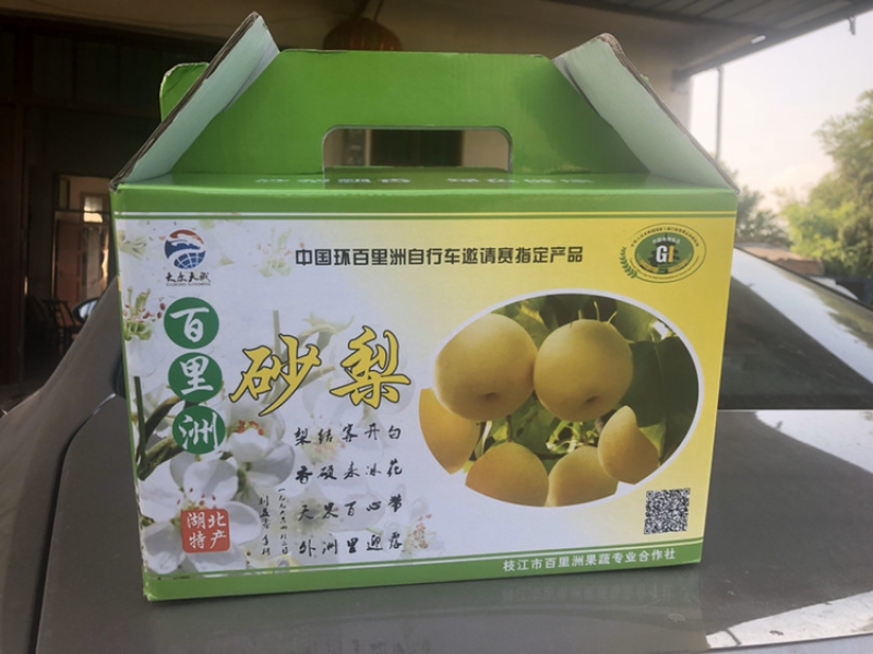 湖北枝江百里洲砂梨，翠冠，圆黄，黄金