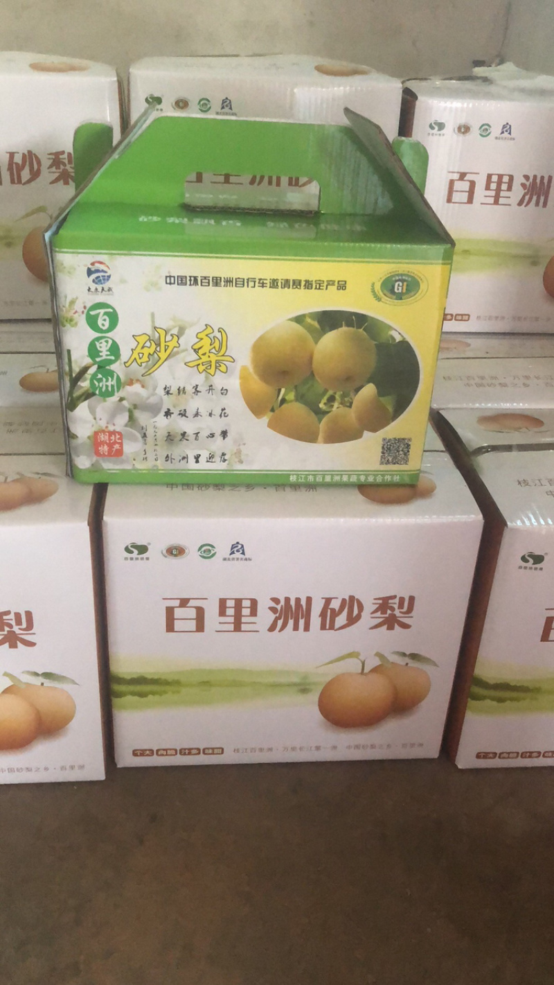 湖北枝江百里洲砂梨，翠冠，圆黄，黄金