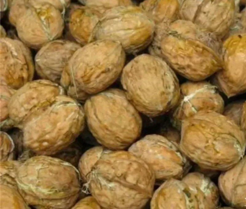 大凉山高山无污染清皮大优新疆泡核桃香味十足