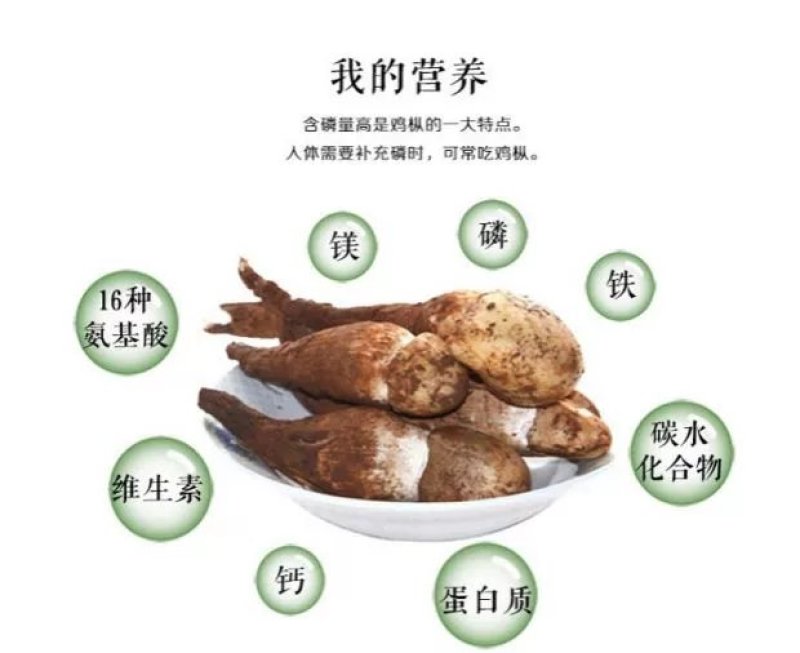 野生菌新鲜鸡枞菌精品鸡纵菌鸡棕三八菇夏至菌伞把菇白蚁伞1