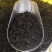 金秀大瑶山野生红，茶野生古树茶茶树都是百年历史。