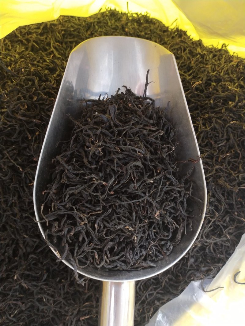 金秀大瑶山野生红，茶野生古树茶茶树都是百年历史。