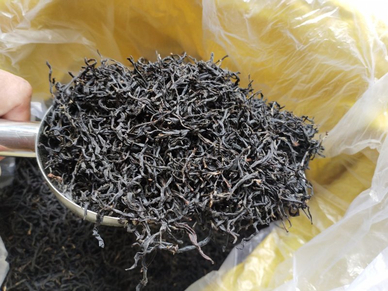 金秀大瑶山野生红，茶野生古树茶茶树都是百年历史。
