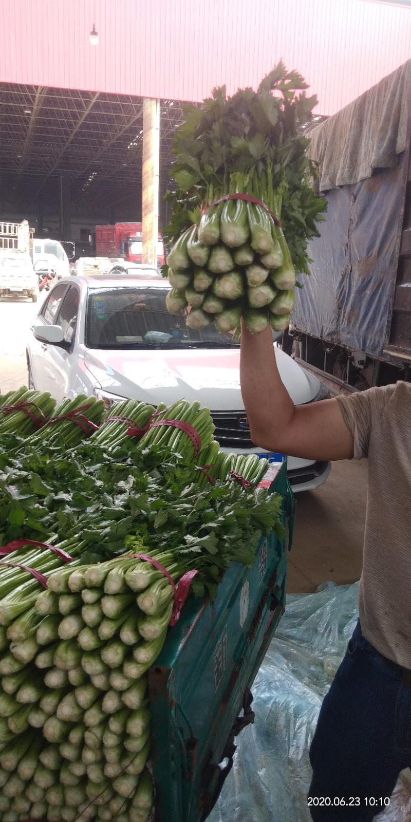 芹菜上市品种优，质量好，叶亮根白欢迎选购。