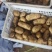 平度莱西内蒙围场荷兰十五希森806黄皮黄心白土豆大量上市
