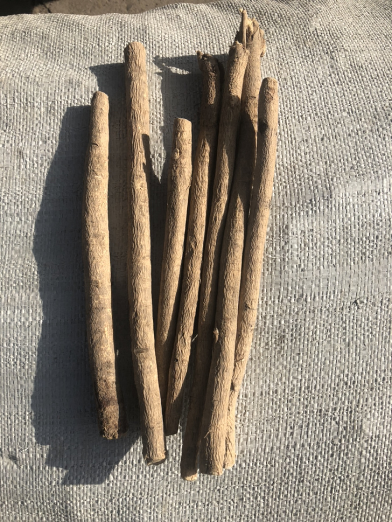 【优质】甘肃岷县黄芪条无硫黄芪大条黄芪棒批发包邮