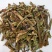 正品肾茶猫须公牙努秒猫须草代抓药方