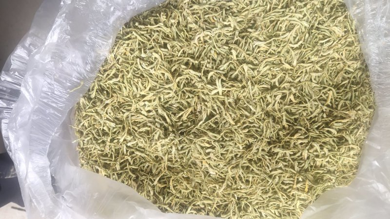 山东儒宏生态无药残金银花