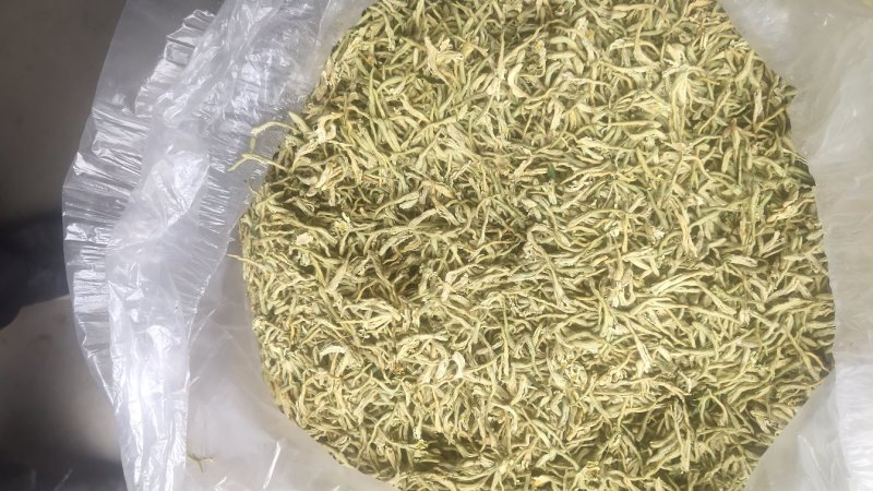 山东儒宏生态无药残金银花