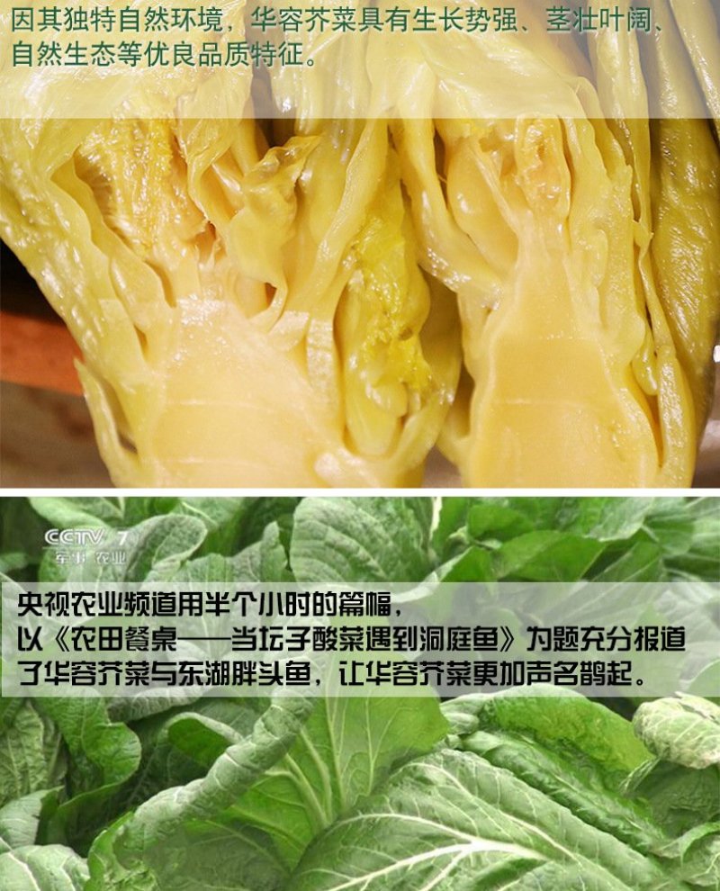 酸菜鱼酸菜酸菜鱼华容芥菜湖南特产