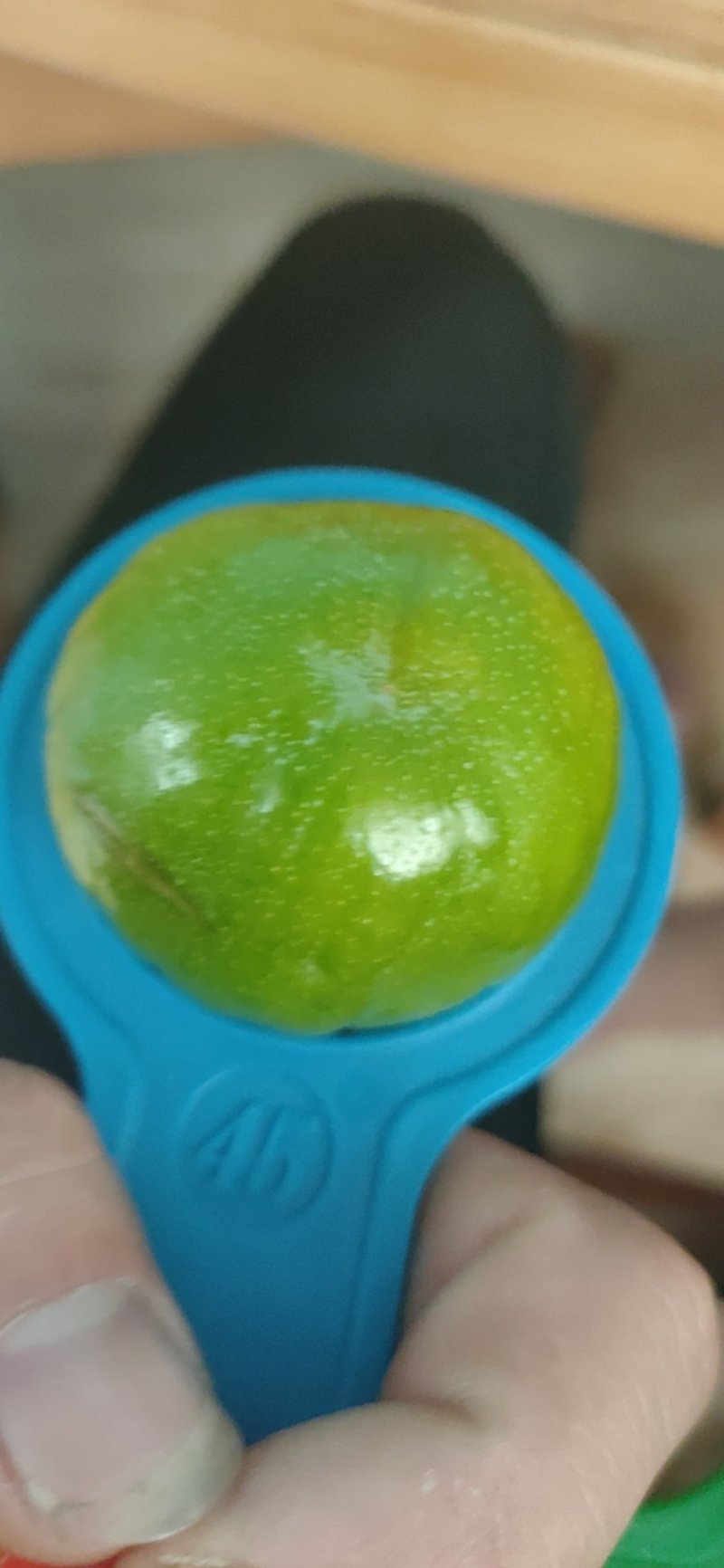 清脆李，李子，青脆李