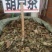 葫芦茶～新货～1公斤起售～量大优惠～欢迎咨询采购