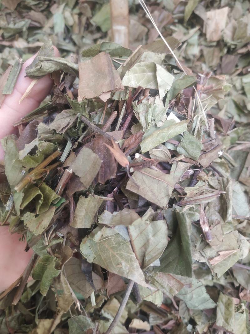 葫芦茶～新货～1公斤起售～量大优惠～欢迎咨询采购