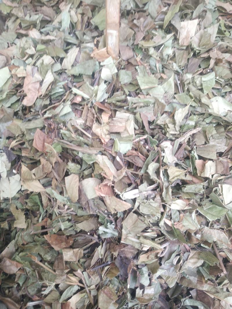 葫芦茶～新货～1公斤起售～量大优惠～欢迎咨询采购