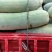白皮冬瓜大量有货25斤起步光滑无坑