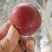 【李子】精品红心李红布林口感脆甜现摘现发量大从优