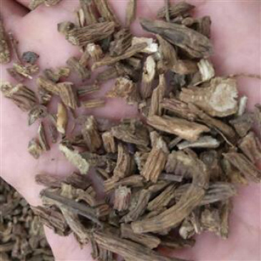昌玉药业川续断产地直销质量保证