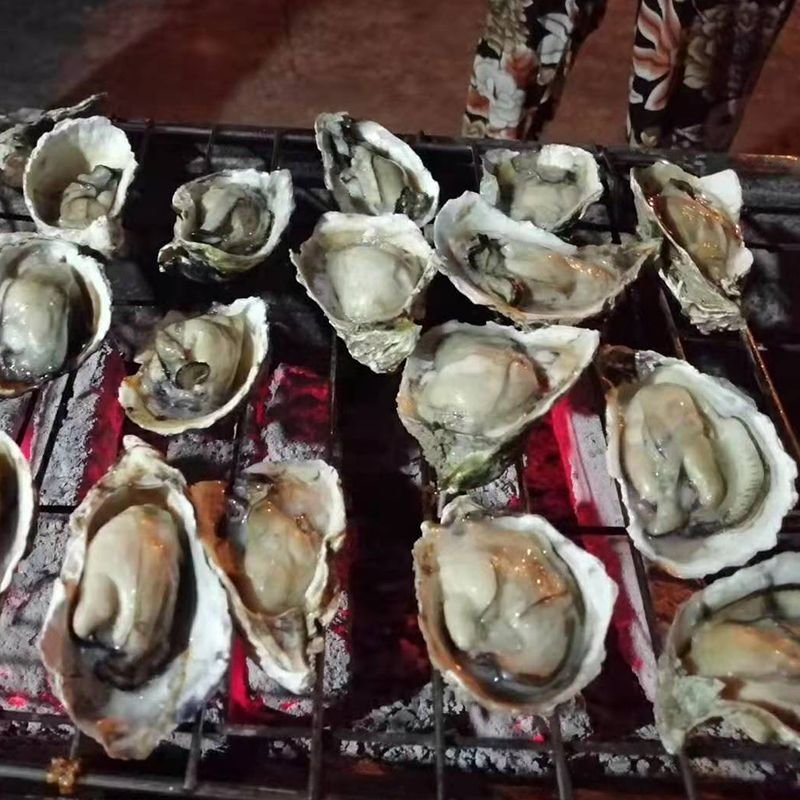 烧烤炭批发纯竹粉型炭机制炭烧烤中温竹炭烧烤碳厂家直销