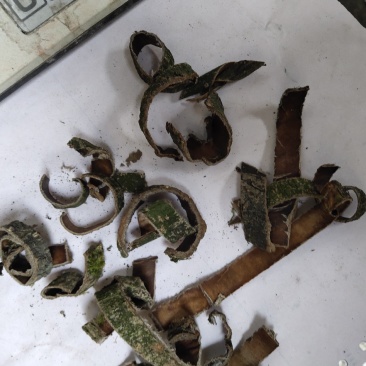 杜仲碎块投料不含运费杜仲皮