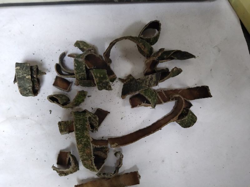 杜仲碎块投料不含运费杜仲皮