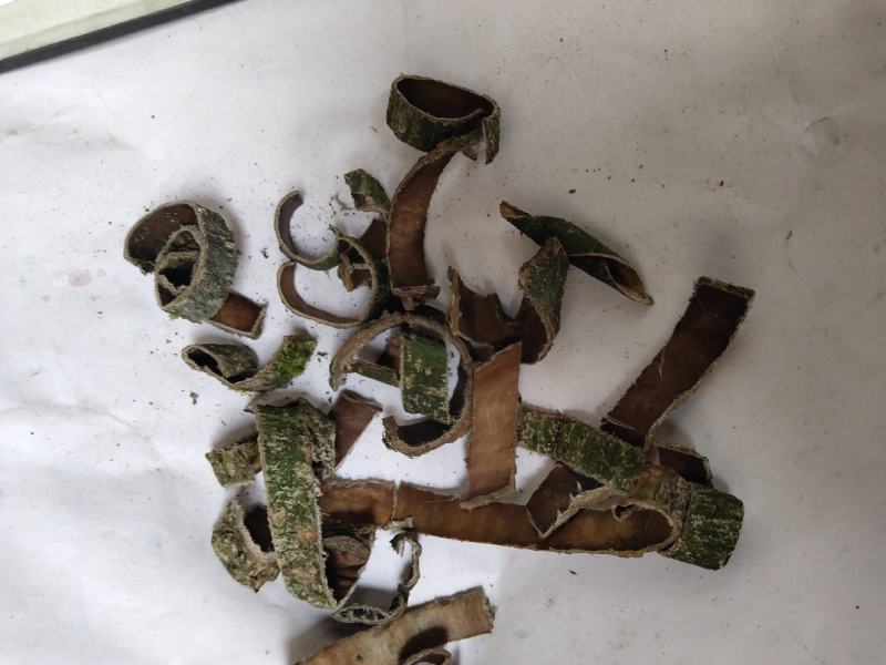 杜仲碎块投料不含运费杜仲皮