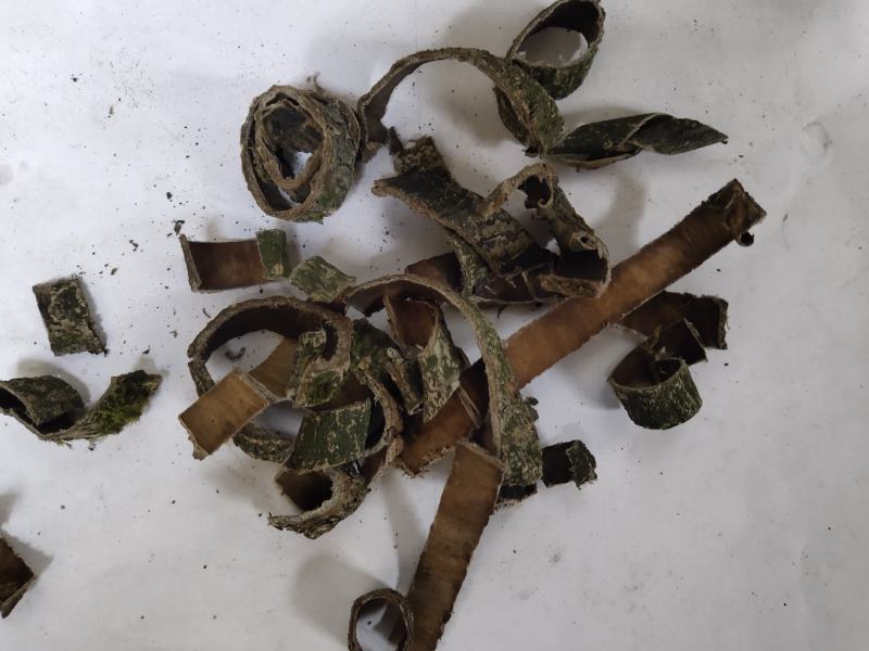 杜仲碎块投料不含运费杜仲皮