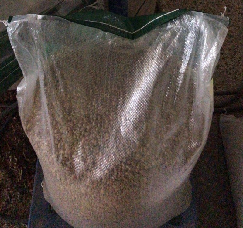 竹豆进口缅甸竹豆小粒
