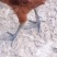鸡