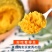 贝贝南瓜日本惠和贝贝板栗南瓜一件代发南瓜