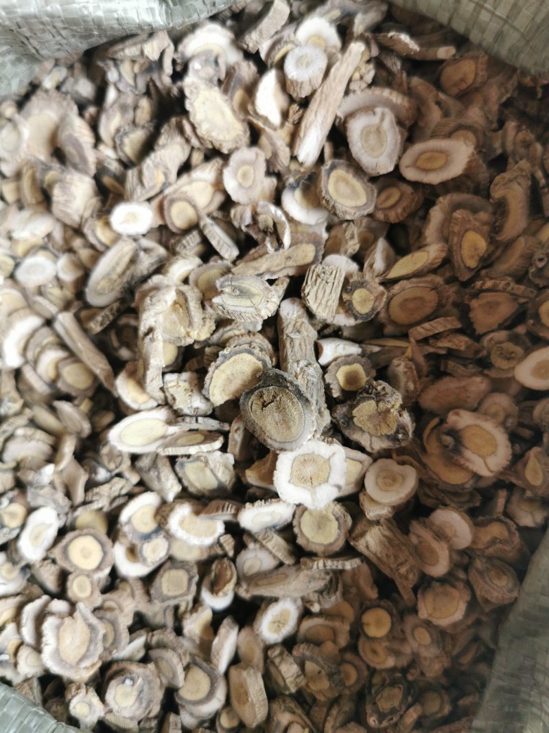 板蓝根大青根产地直销量大从优