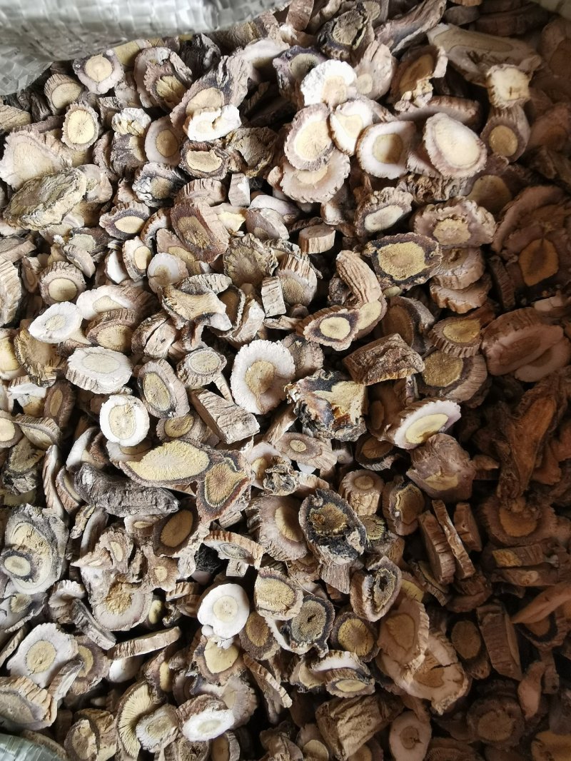 板蓝根大青根产地直销量大从优