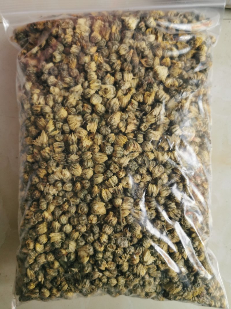 胎菊胎菊王产地直销量大从优一手货源