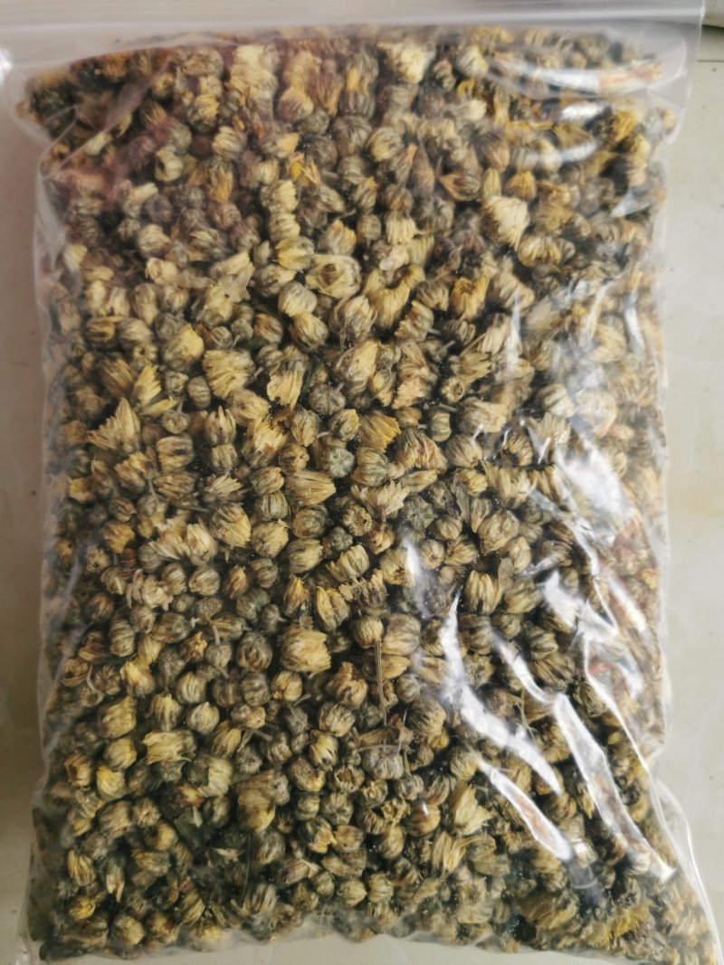 胎菊胎菊王产地直销量大从优一手货源