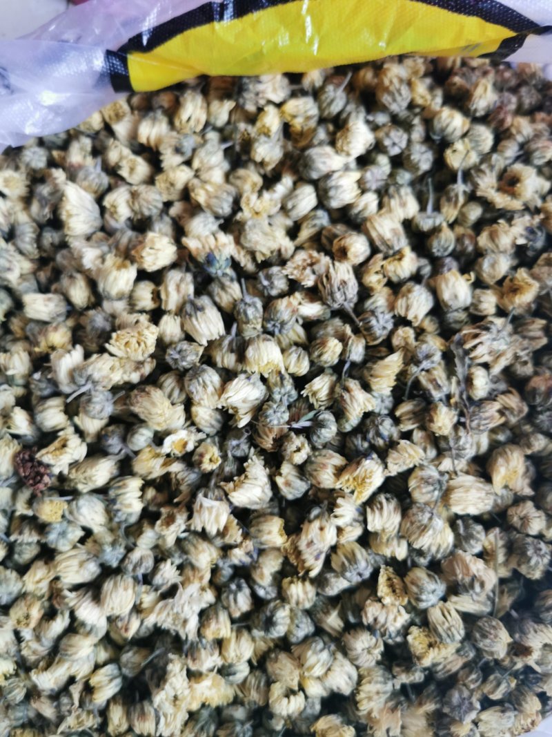 胎菊胎菊王产地直销量大从优一手货源