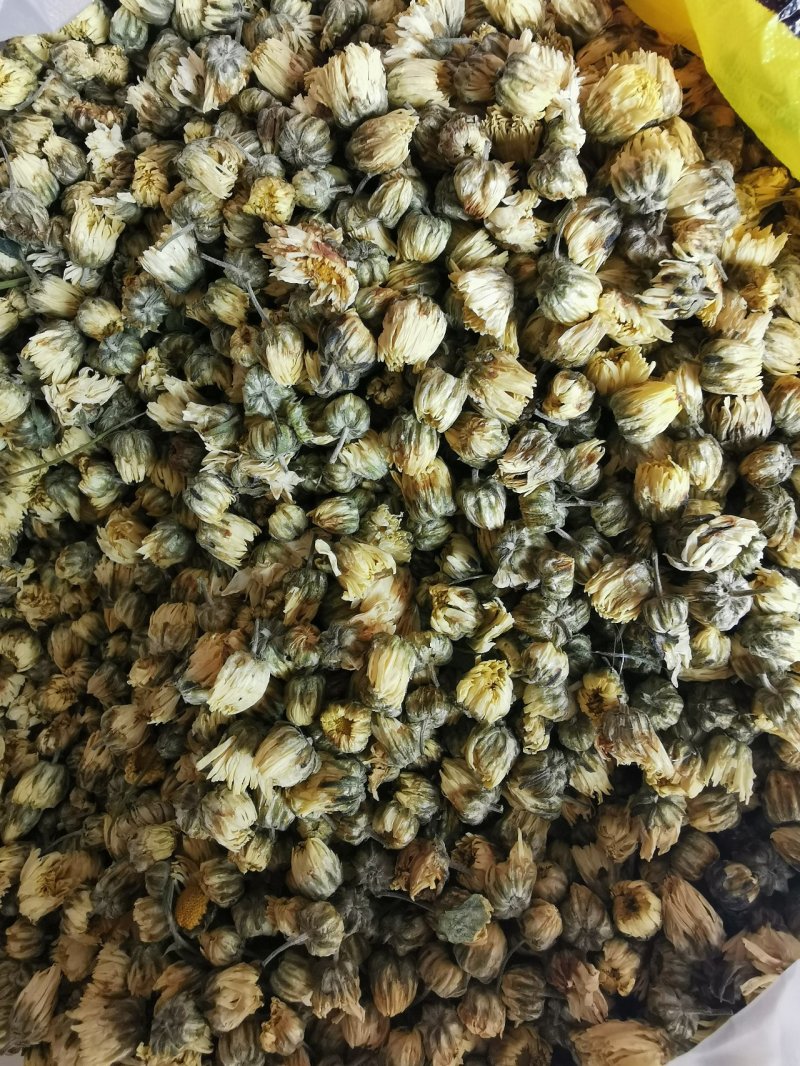 胎菊胎菊王产地直销量大从优一手货源