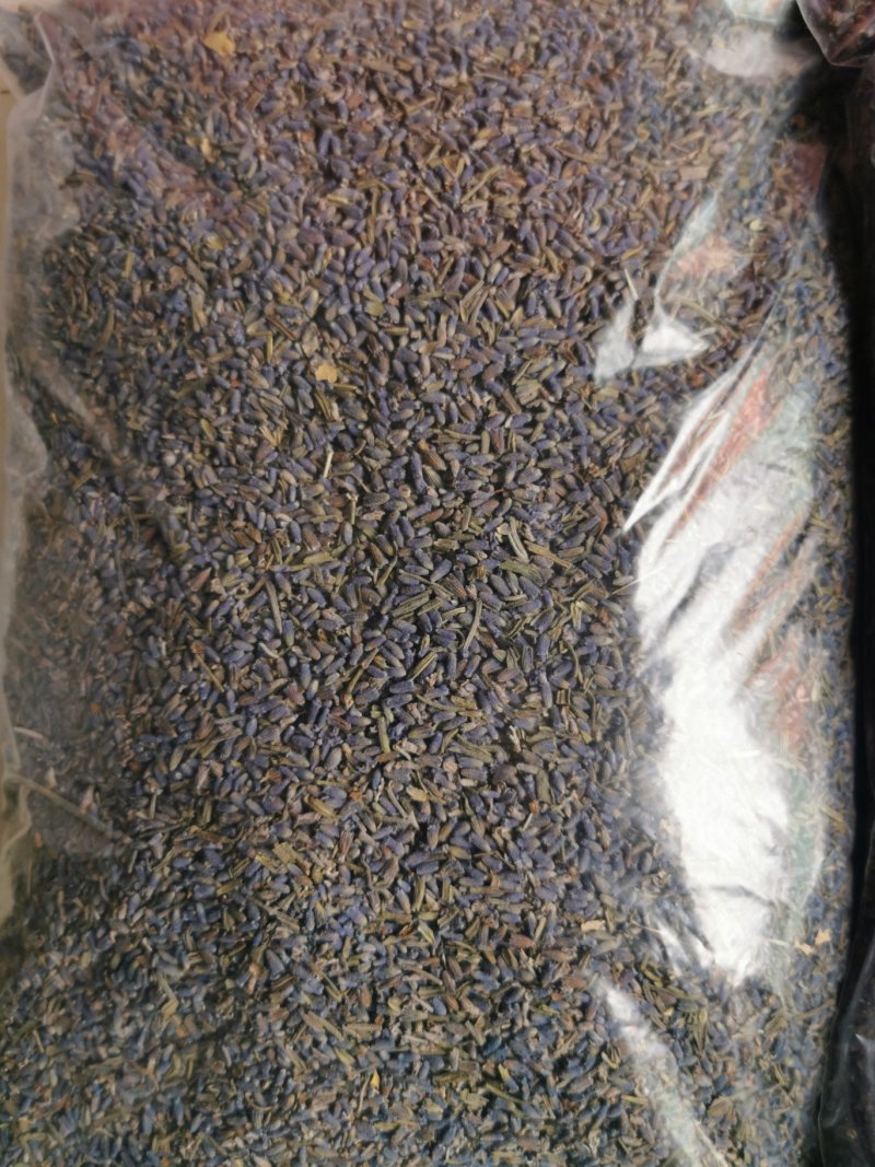薰衣草产地直销量大从优一手货源