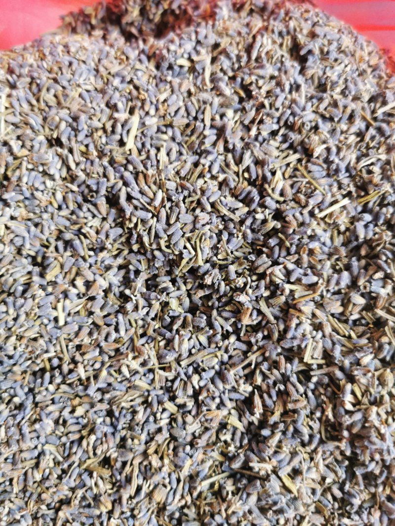 薰衣草产地直销量大从优一手货源