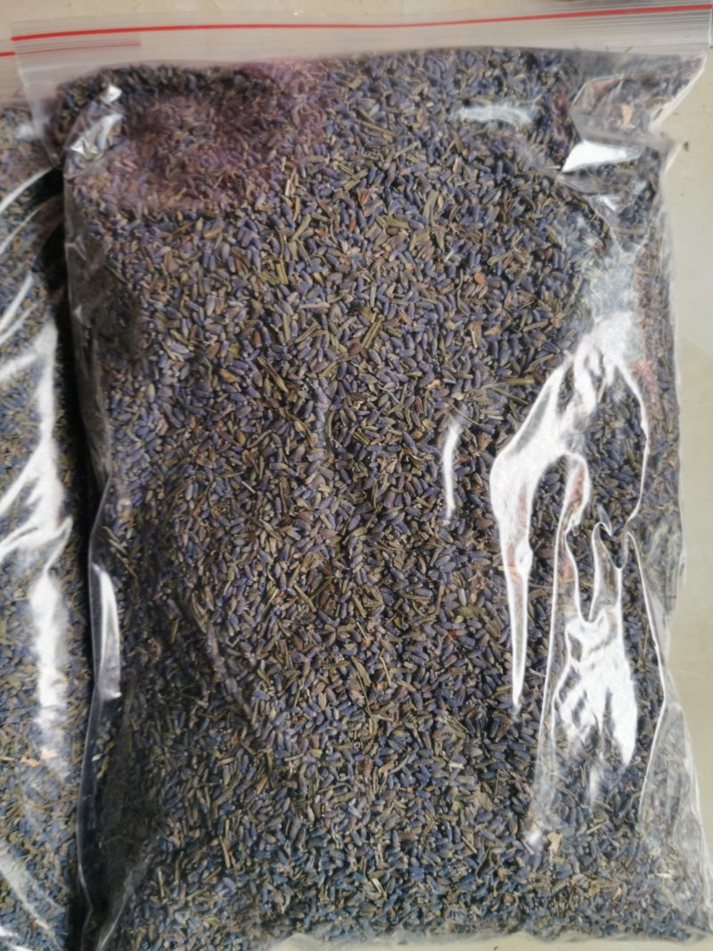 薰衣草产地直销量大从优一手货源