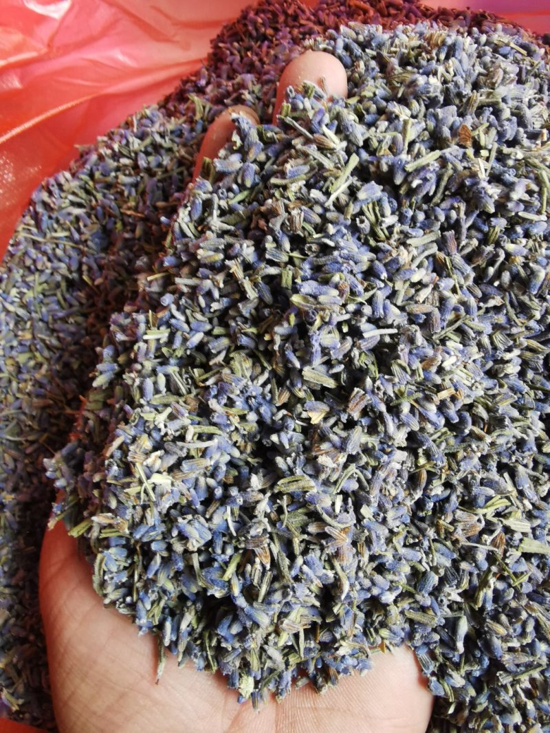 薰衣草产地直销量大从优一手货源