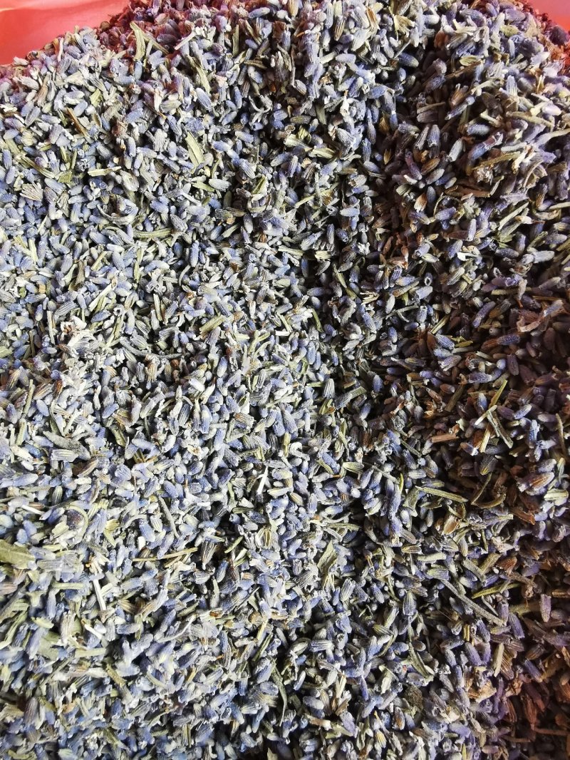 薰衣草产地直销量大从优一手货源
