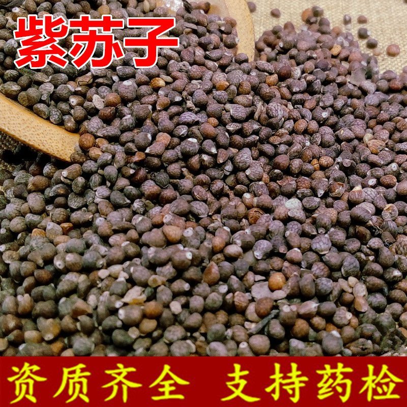紫苏子优选无杂质紫苏子中药材产地直销