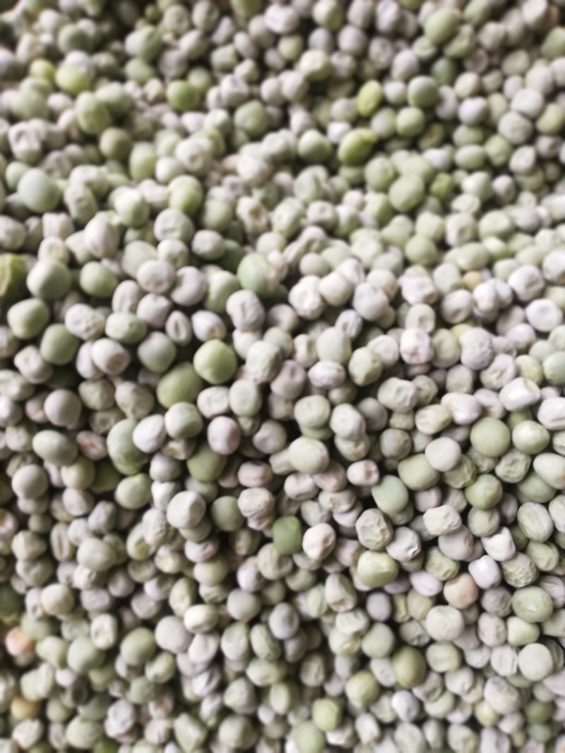 豌豆种