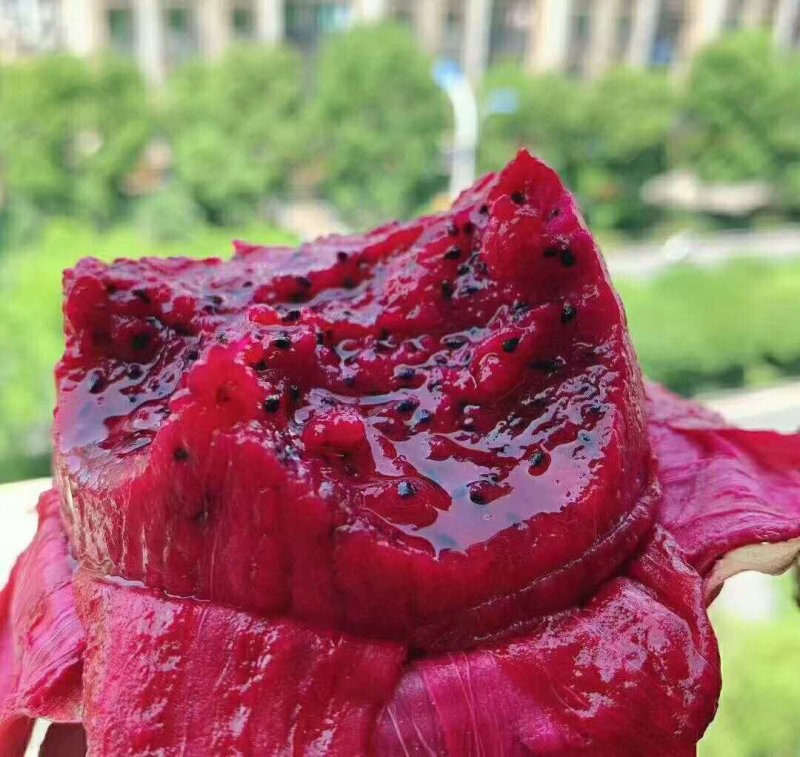 广东火龙果当季水果电商合作一件代发一级好货包邮