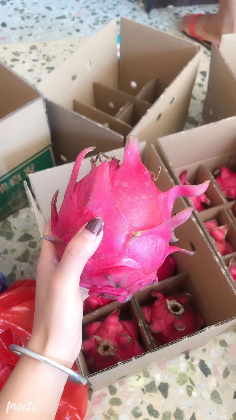 广东火龙果当季水果电商合作一件代发一级好货包邮
