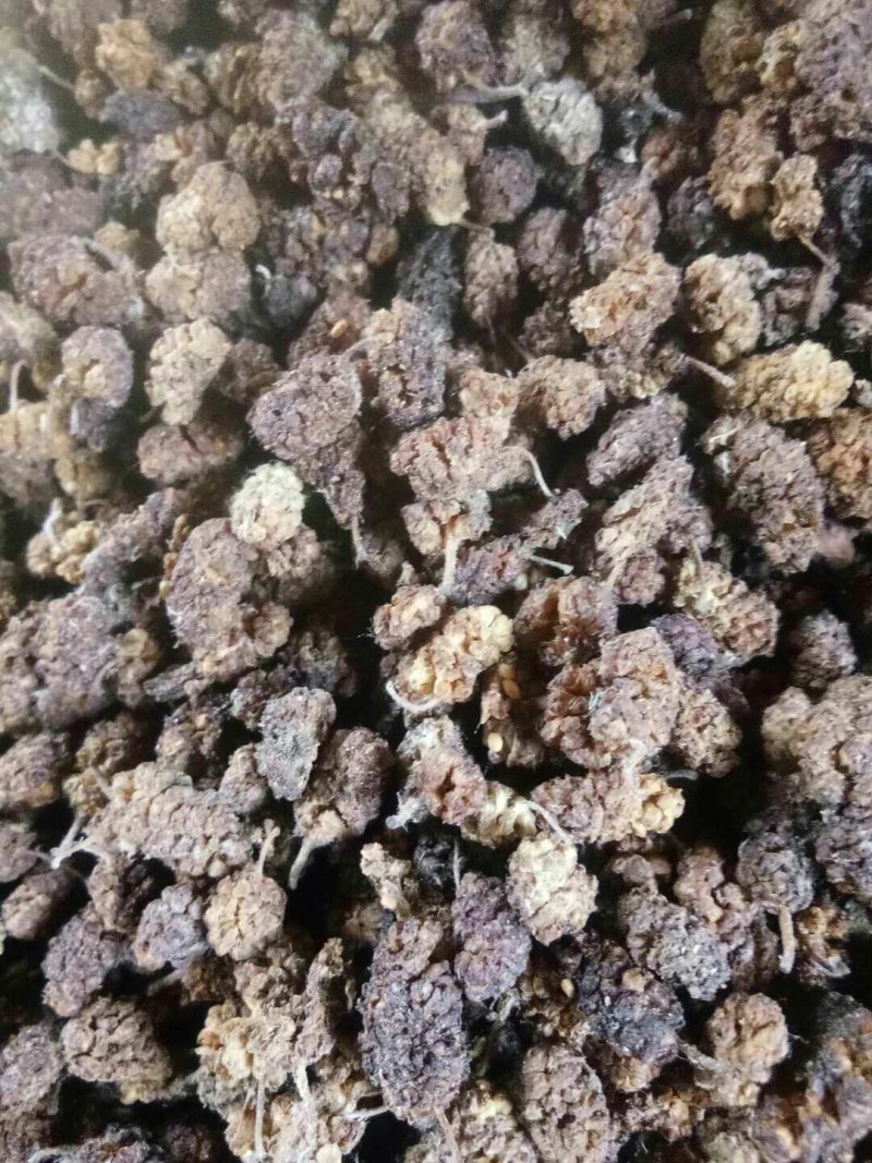 出售椹干，椹黄