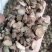 中药材赤芍种植无硫熏大片实物拍摄一公斤起包邮