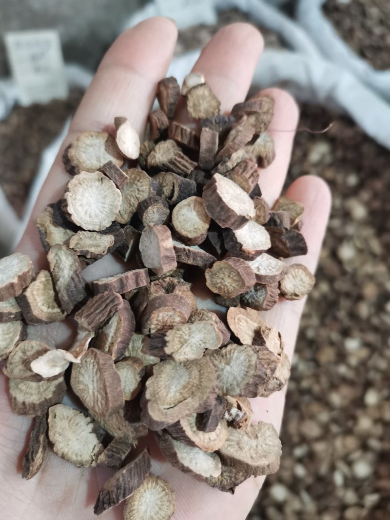 中药材赤芍种植无硫熏大片实物拍摄一公斤起包邮