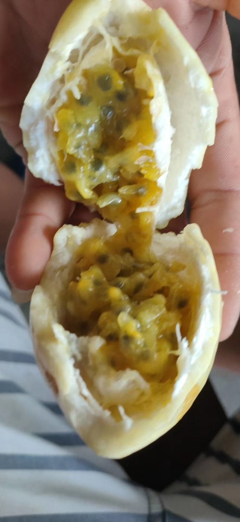 产地直销，广西蜂蜜味黄金百香果