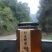 蜂蜜