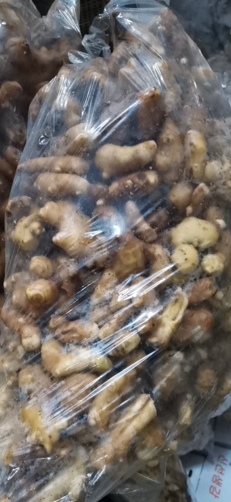 【精品】大黄姜保质保量产地直供量大从优